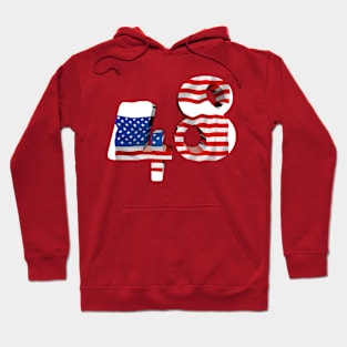 USA flag no. 48 Hoodie